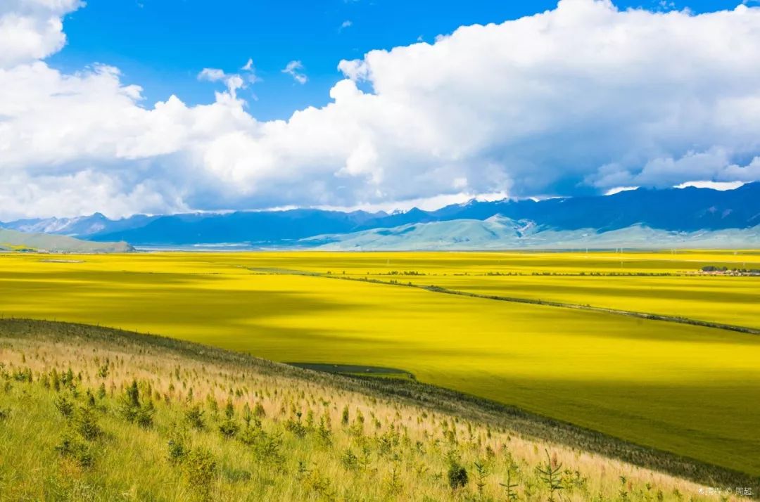 青海之旅，探寻自然美景，寻觅内心平静